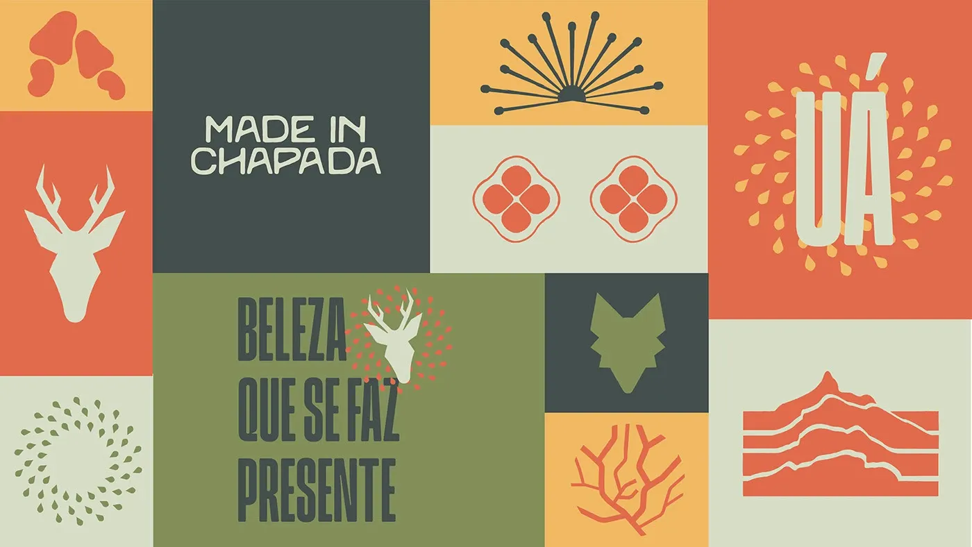 Projeto Made in Chapada, destaque