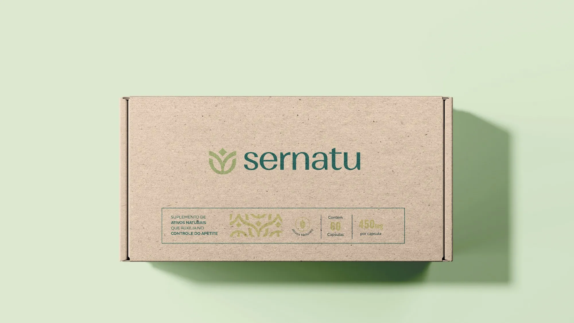 Projeto Sernatu, imagem 13